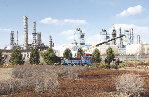 杀猪平台电子游戏